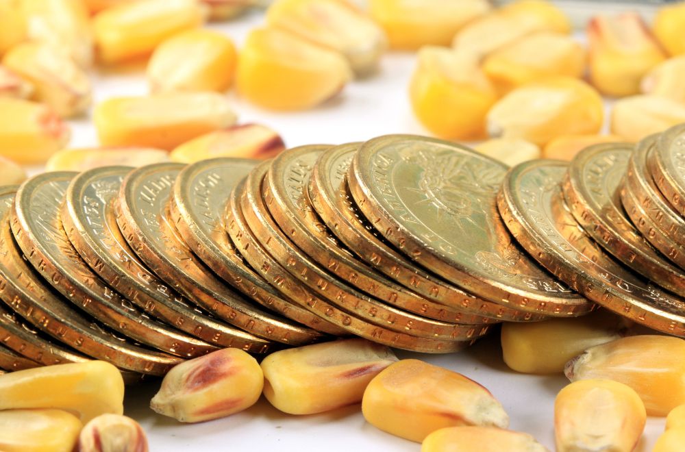 Coins And Corn Kernels