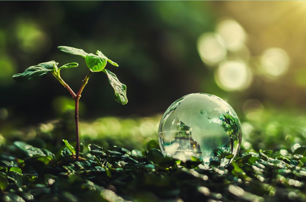 Green Globe And Plant