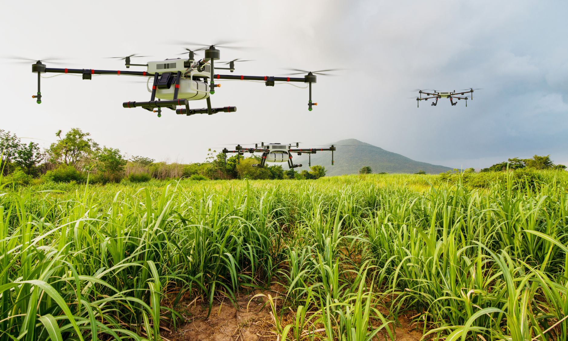 Drones Being Used For Agritech In the UAE