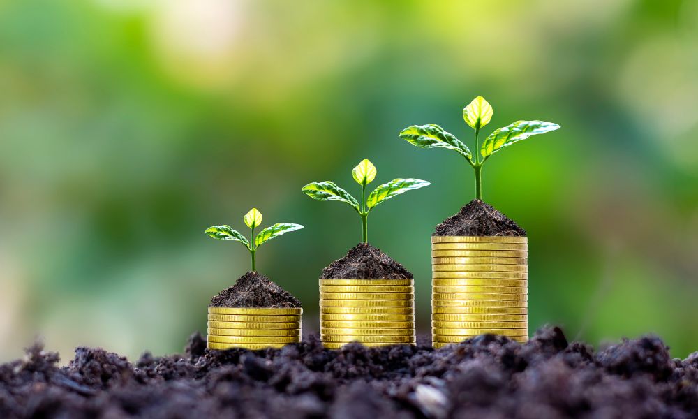 Seeds And Coins In Dirt