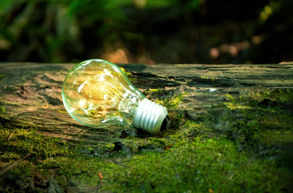 Lightbulb Showing Sustainable Business Ideas 