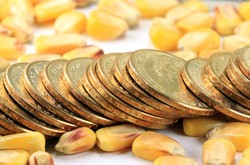 Coins And Corn Kernels