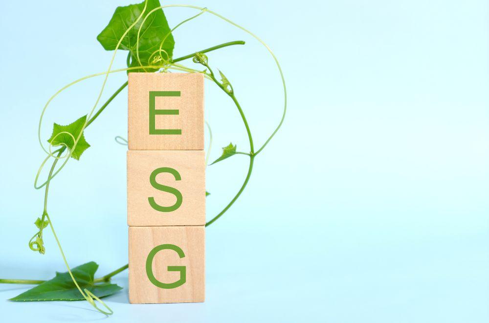 A Practical Guide to ESG Compliance in the UAE