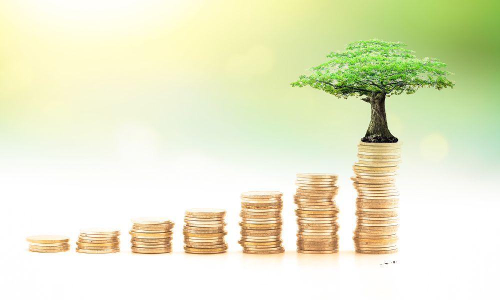 Coins And Tree